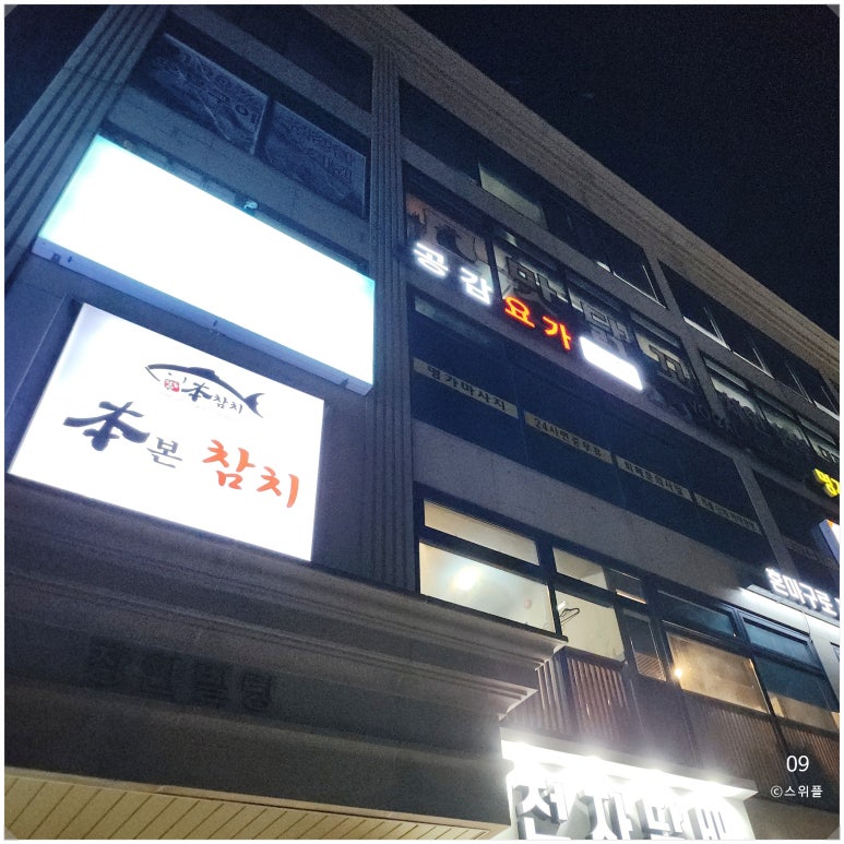 본참치 이미지