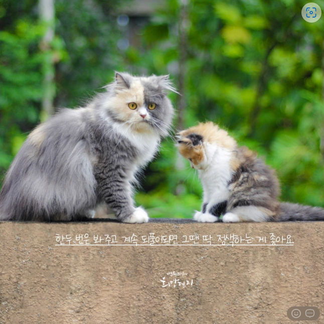 삼진상사 이미지