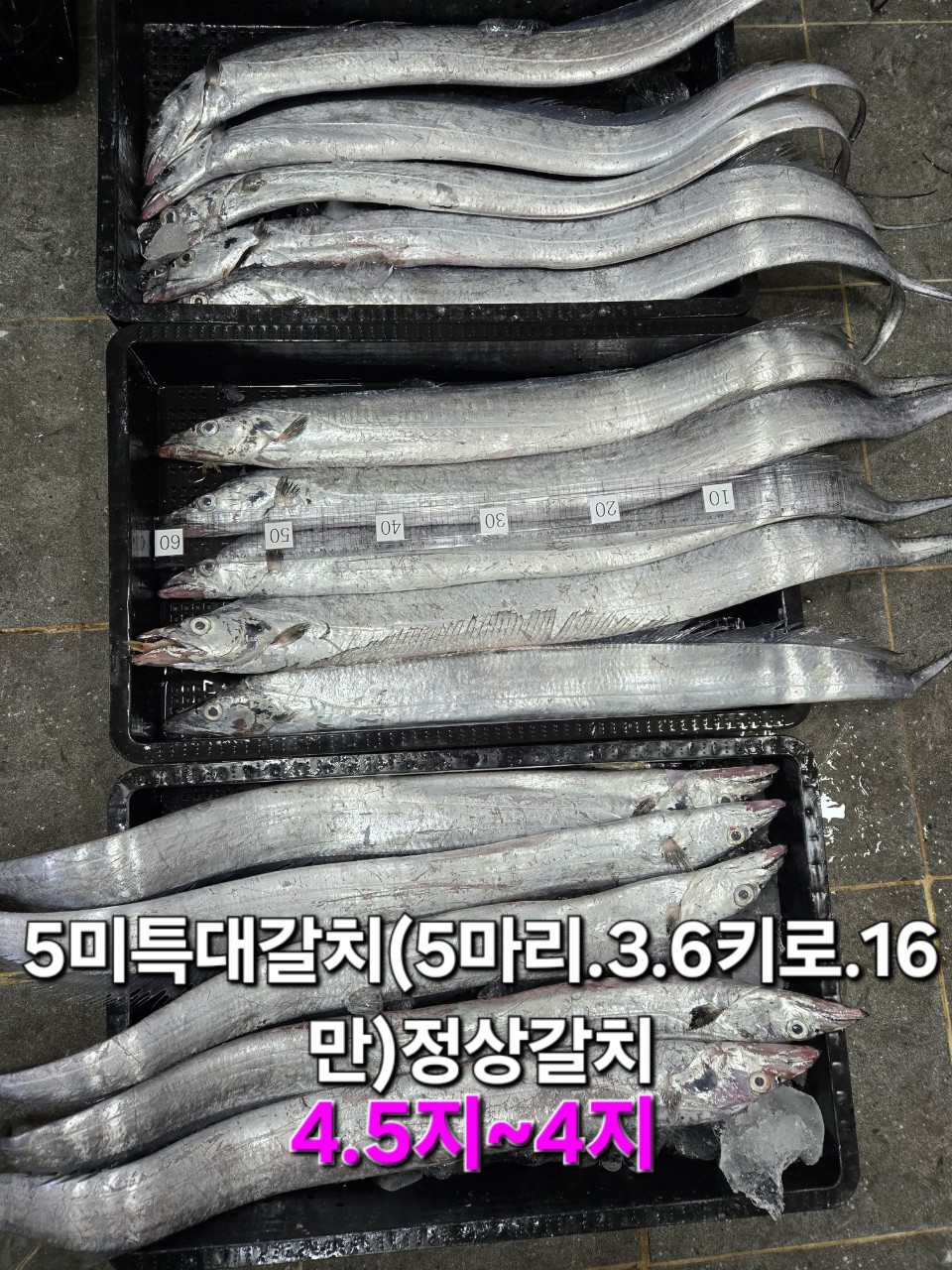 임여사수산 이미지