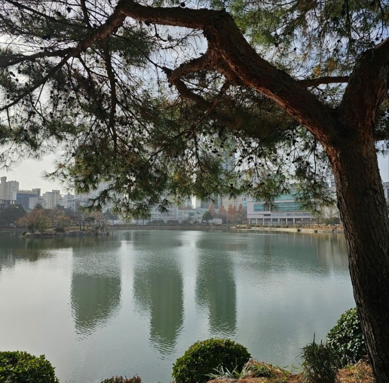 샘터골 이미지