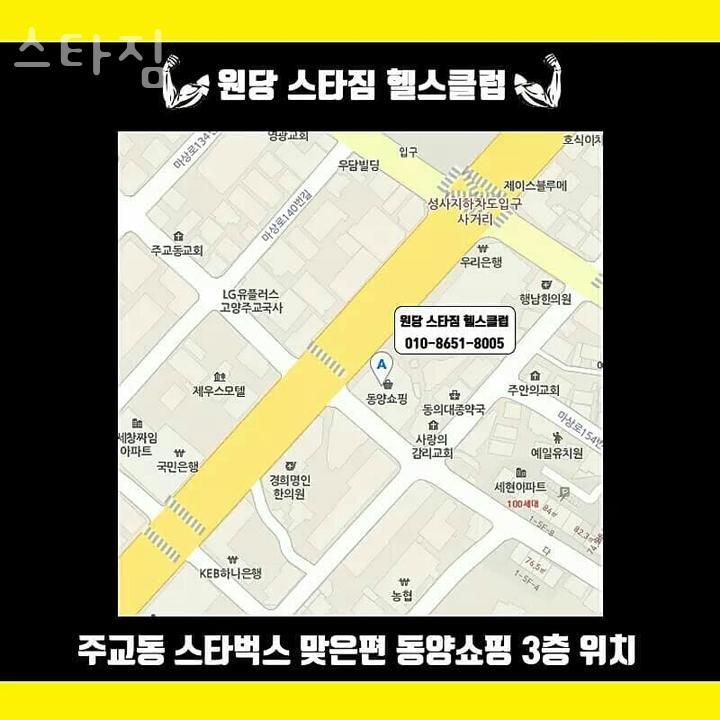 스타짐 이미지