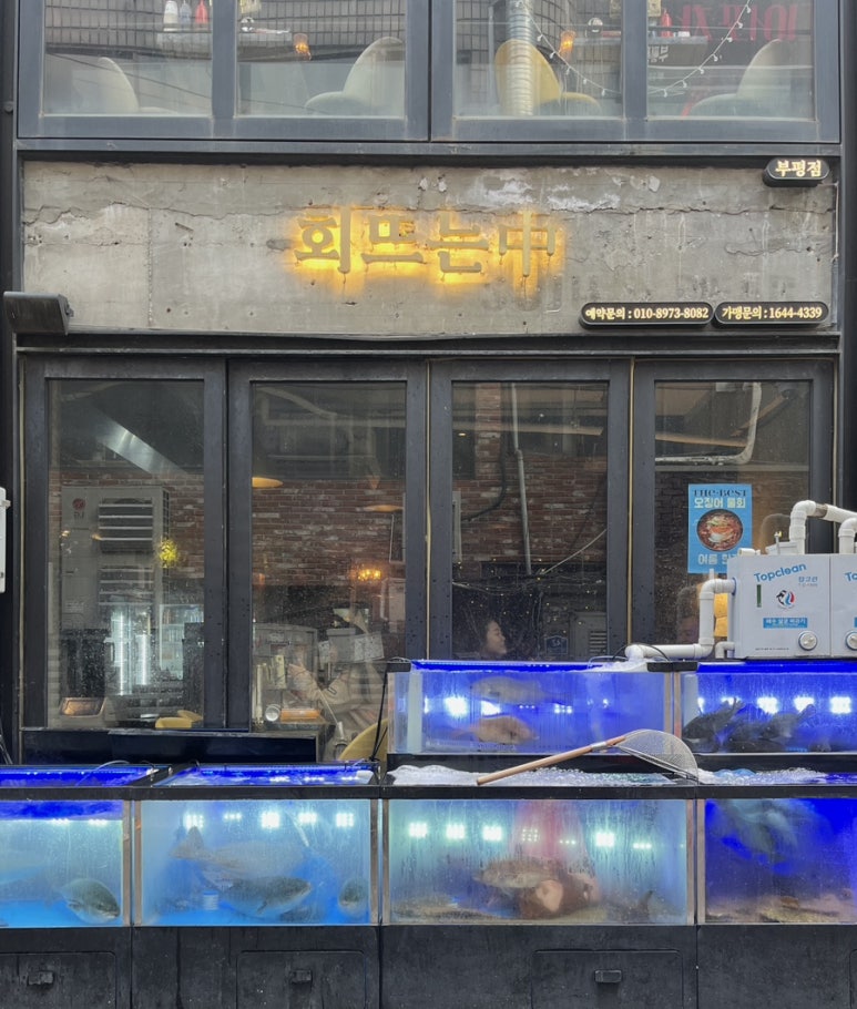 회뜨는중 이미지