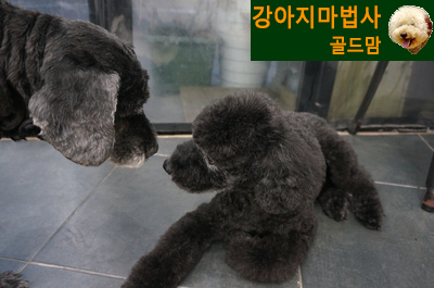빵마루 이미지