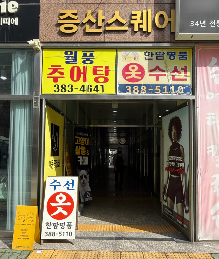 눈숲 이미지