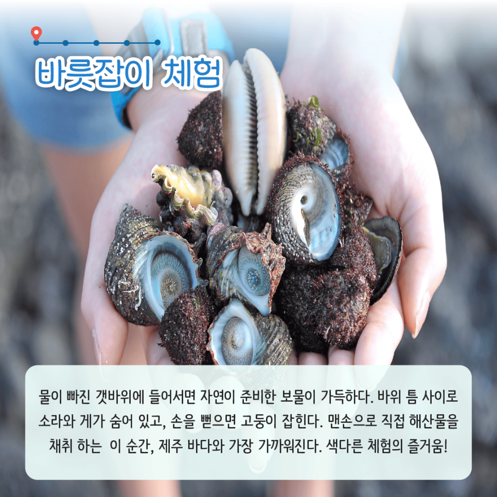화산어촌체험마을 이미지