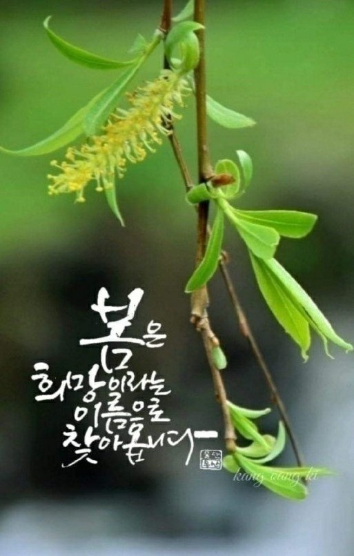 대성종합중기 이미지