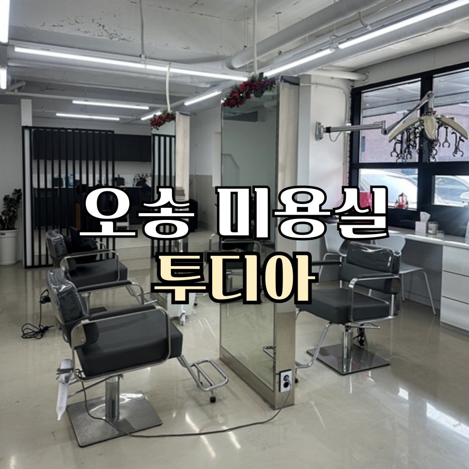 투디아 이미지