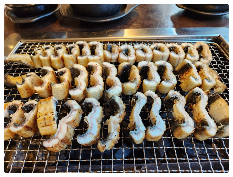 팔팔한민물장어 이미지