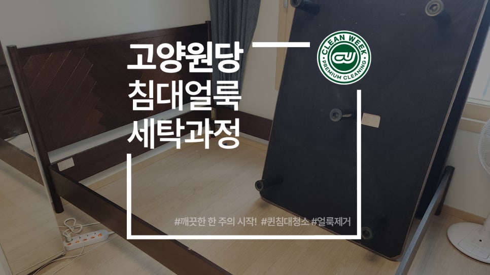 원당세탁 이미지