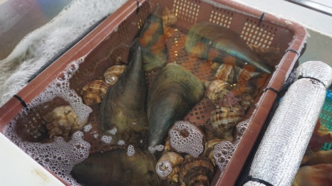 마산 해물포차 이미지