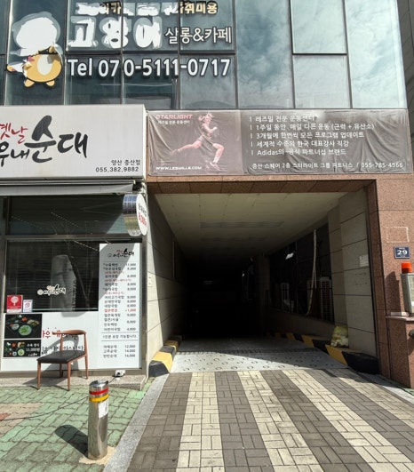 눈숲 이미지