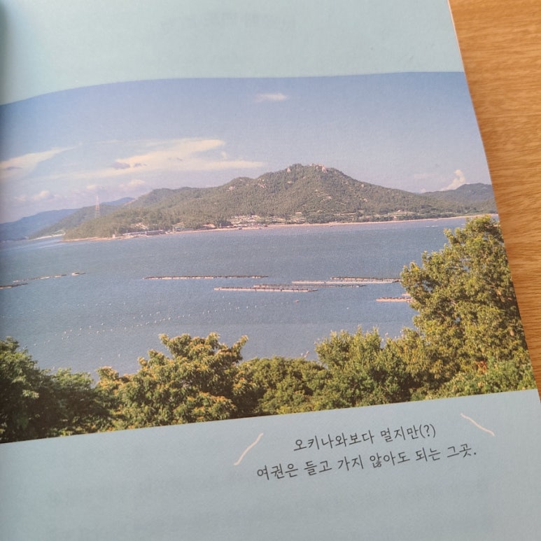 이이장 이미지
