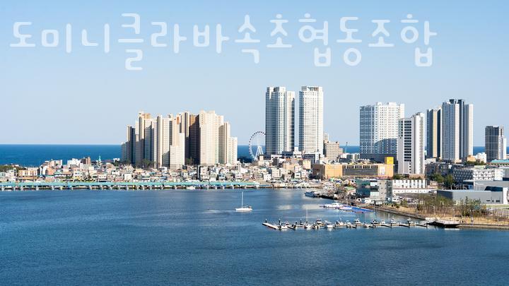 도미니클라바속초협동조합 이미지