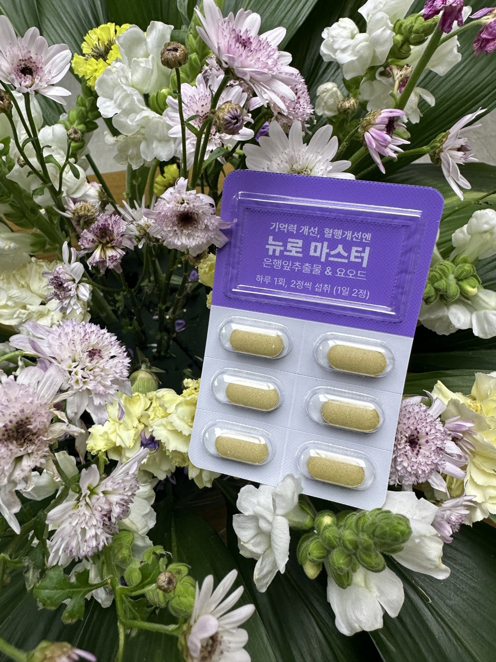 (주)바이오컴 이미지