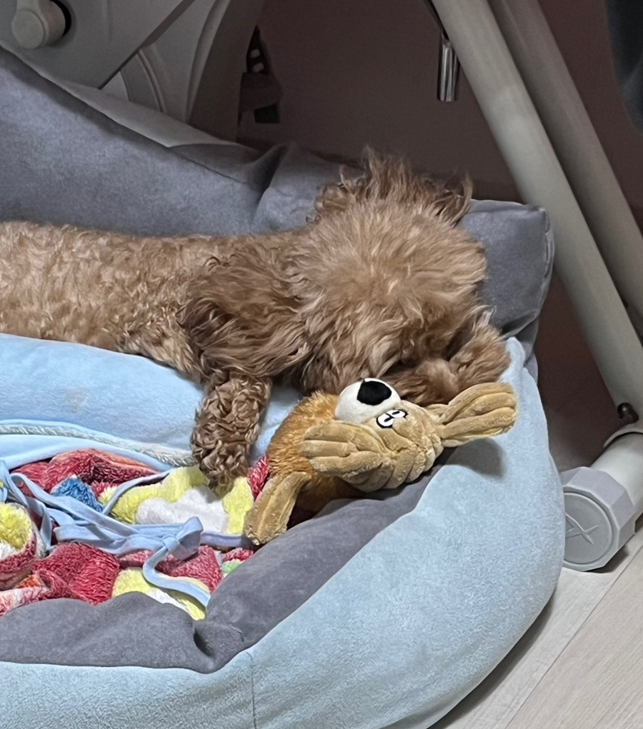 유가네닭갈비안양1번가점 이미지