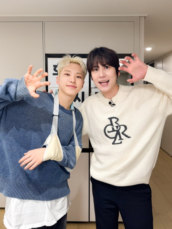 호시 이미지