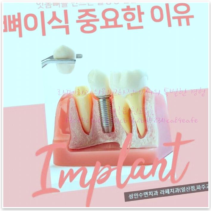 라페치과의원 이미지