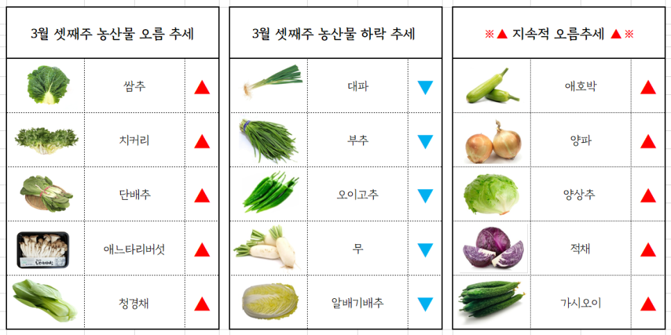 서면유통 이미지