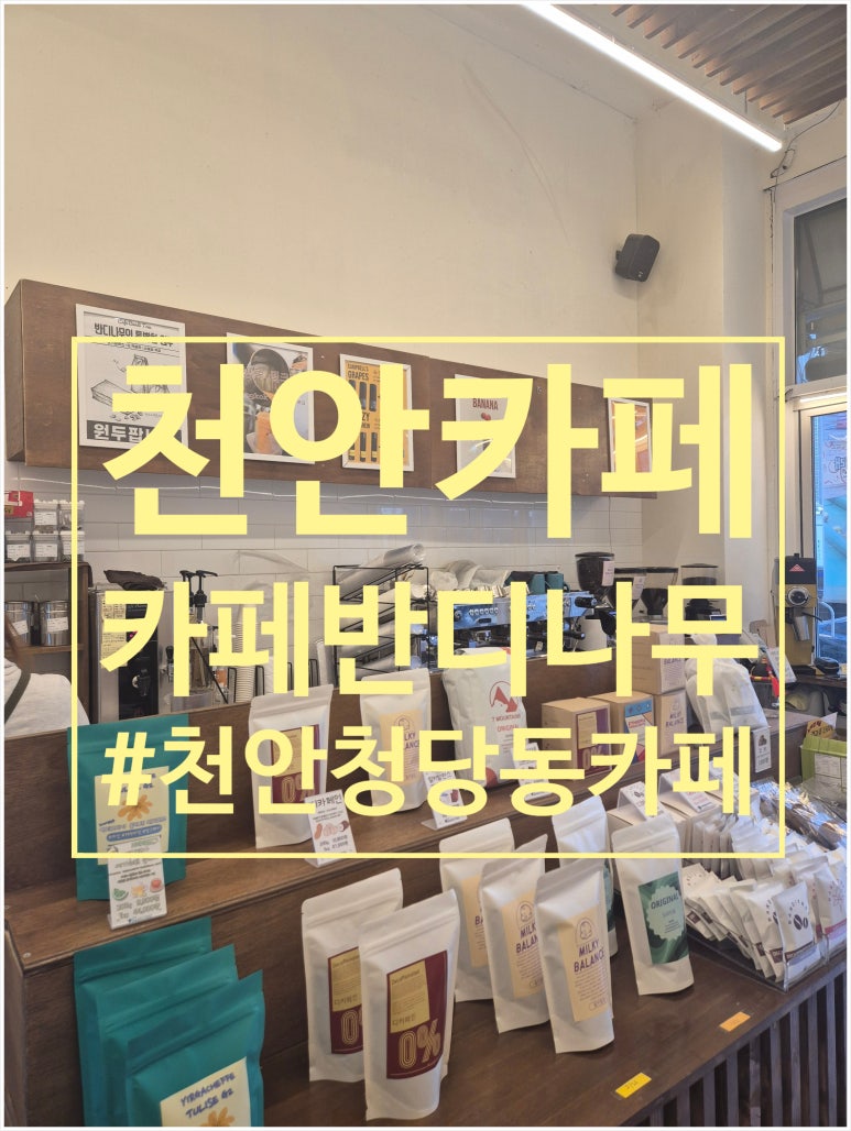 카페반디나무 이미지