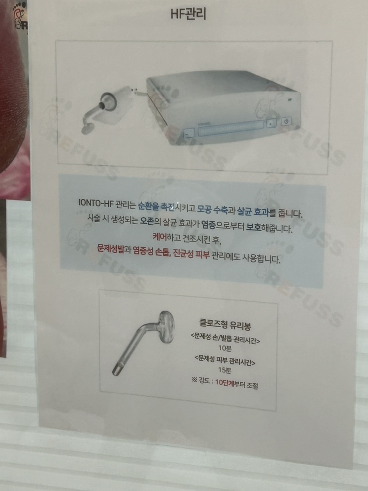 네일리코레푸스 이미지