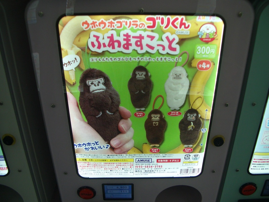 싱싱횟집식당 이미지