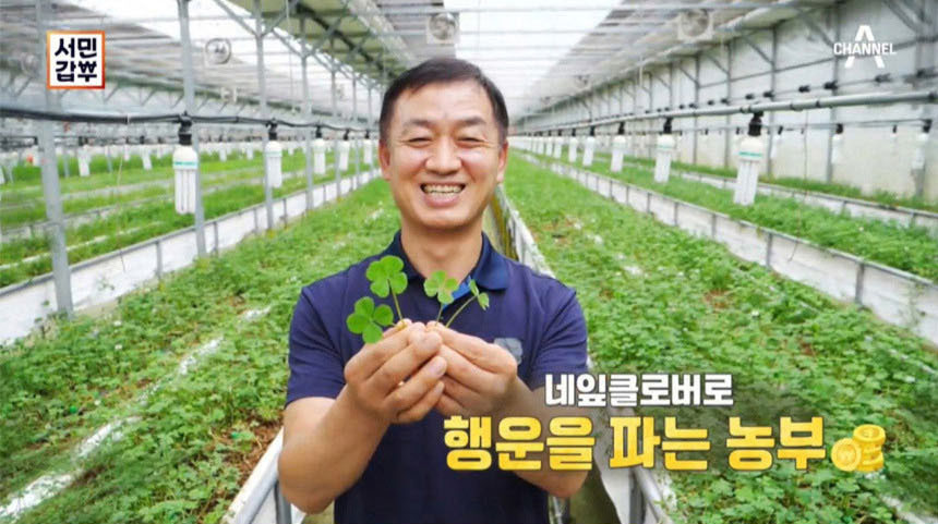 행운녹즙 이미지