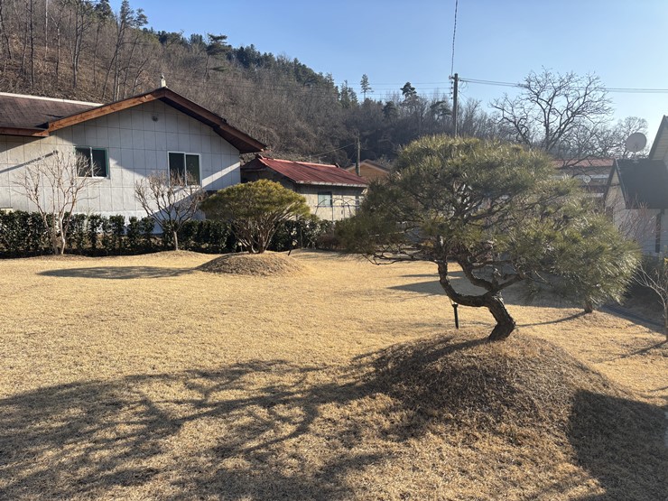 라파엘메디케어 이미지