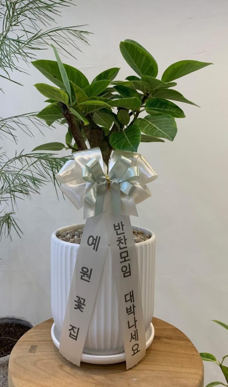 예원꽃집 이미지