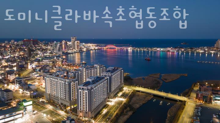 도미니클라바속초협동조합 이미지