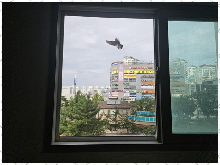좋은공기방충망 이미지