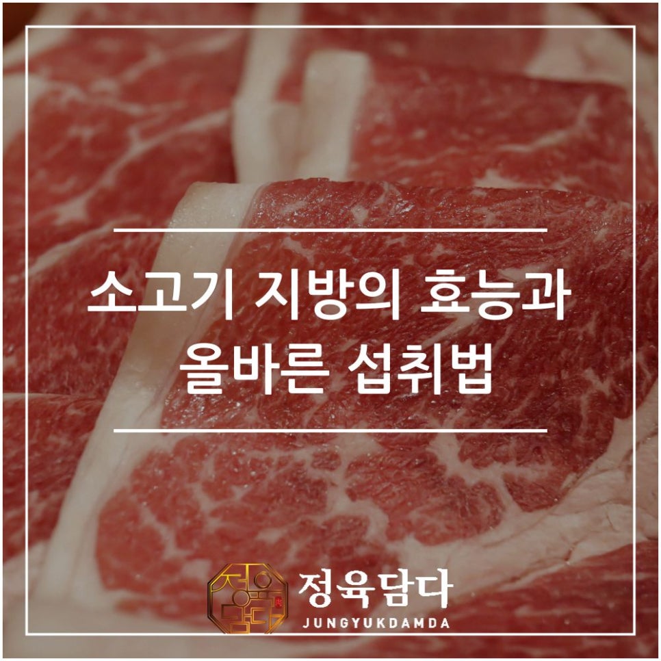 올바른 정육 이미지