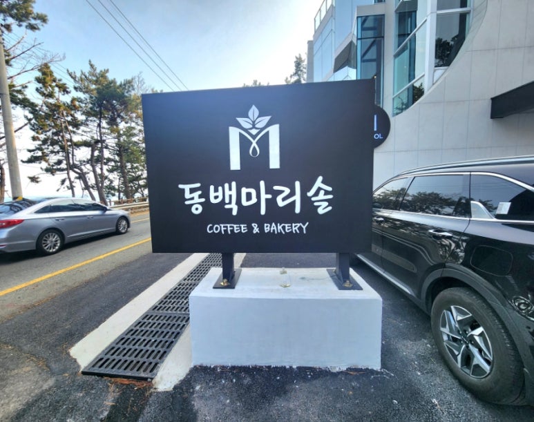 마리솔2 이미지