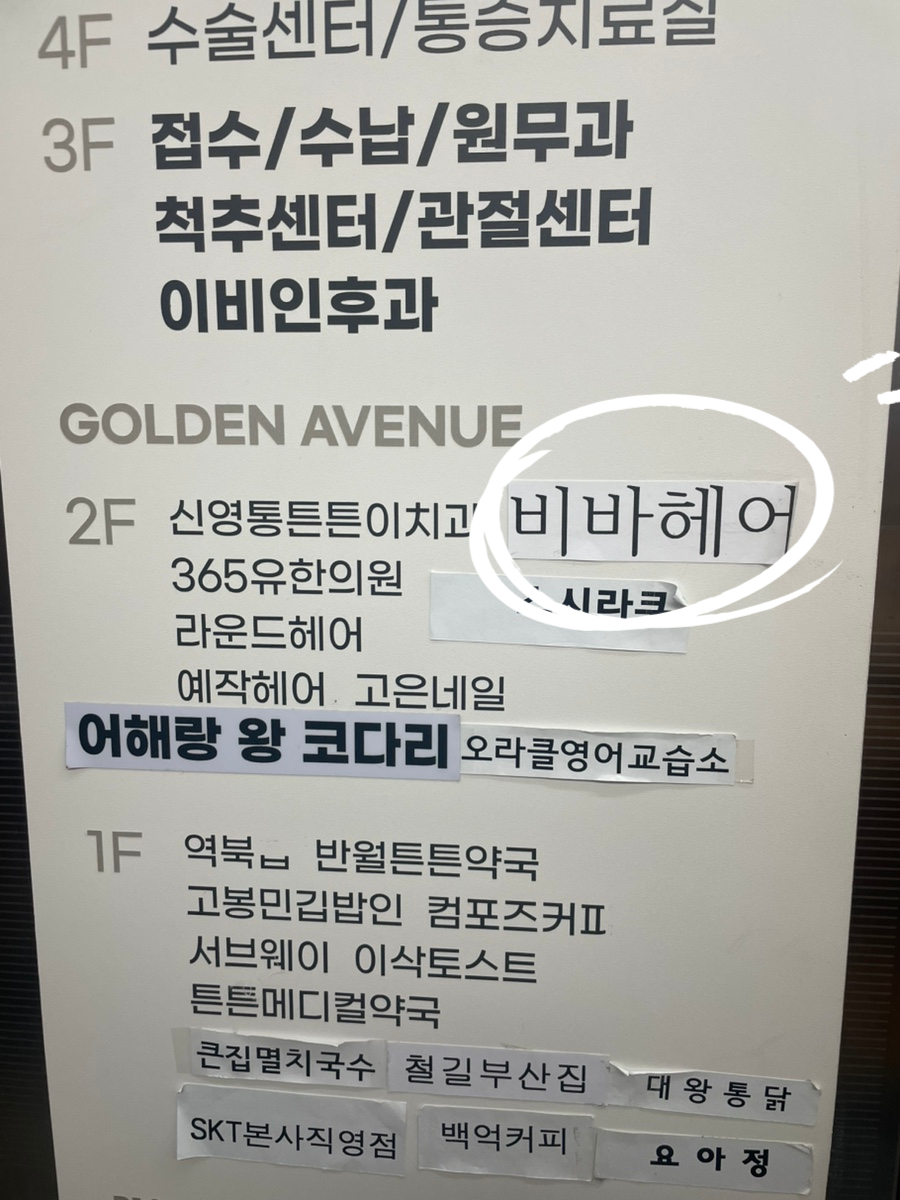 메디비바 이미지