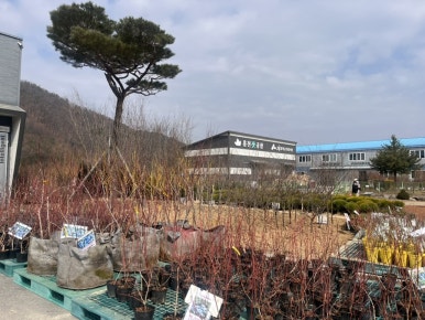 산림조합주유소 이미지