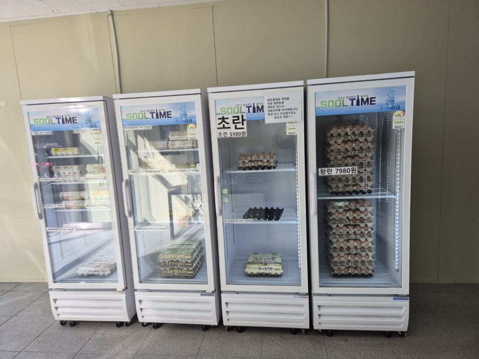 햇살계란 이미지