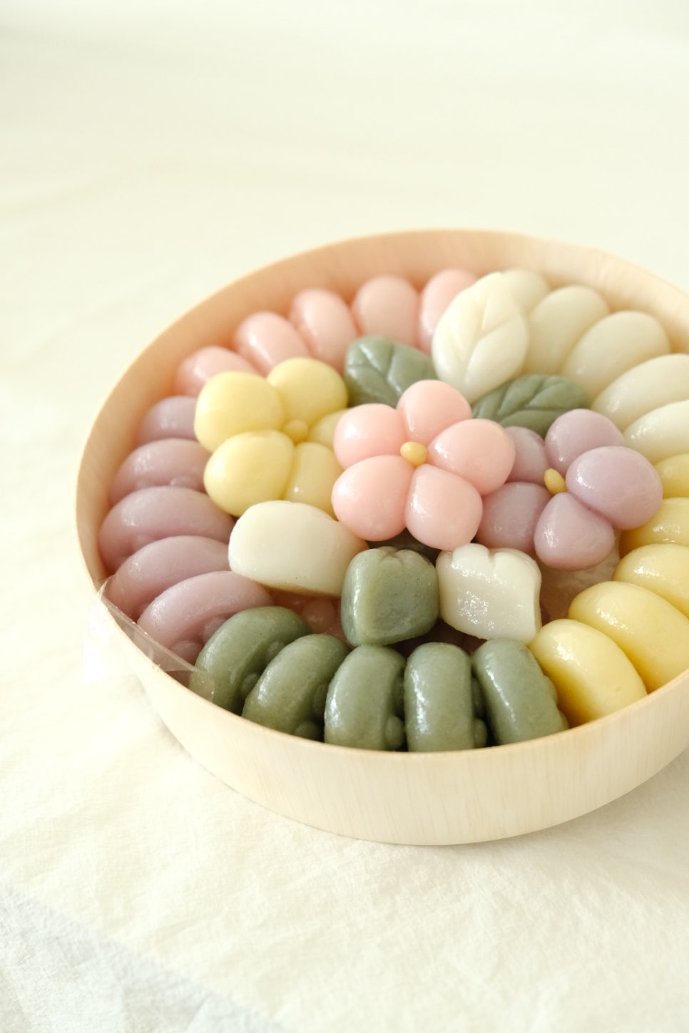 정온담 이미지