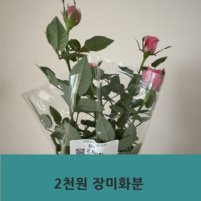 봄볕푸드 이미지