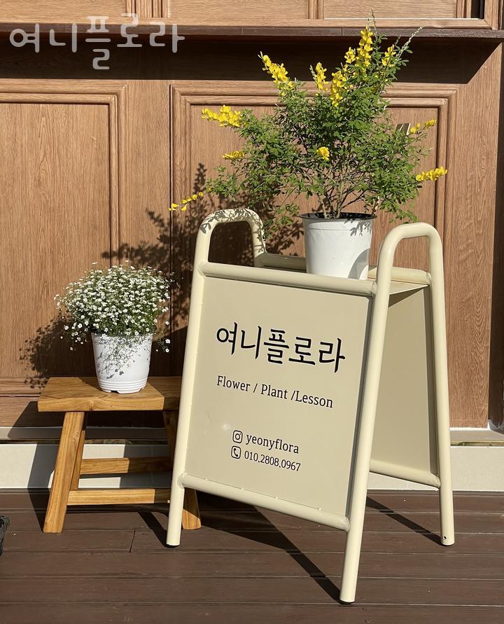여니플로라 이미지