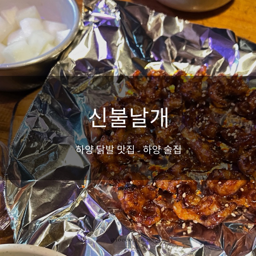 신불날개 이미지