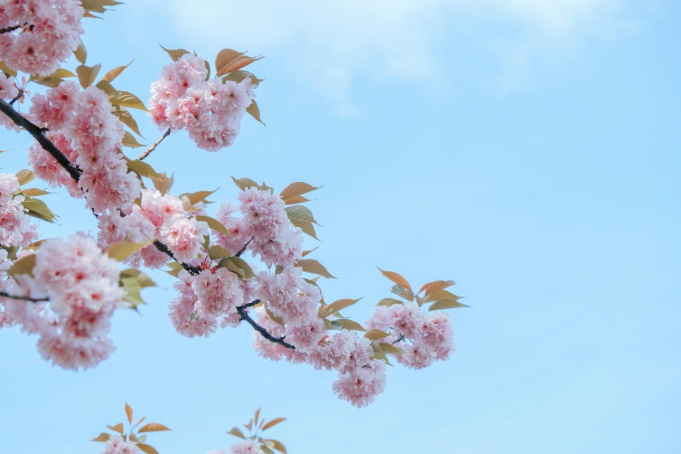 (주)산에들에 이미지