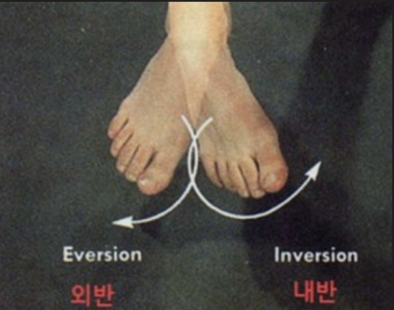 머슬제이 이미지