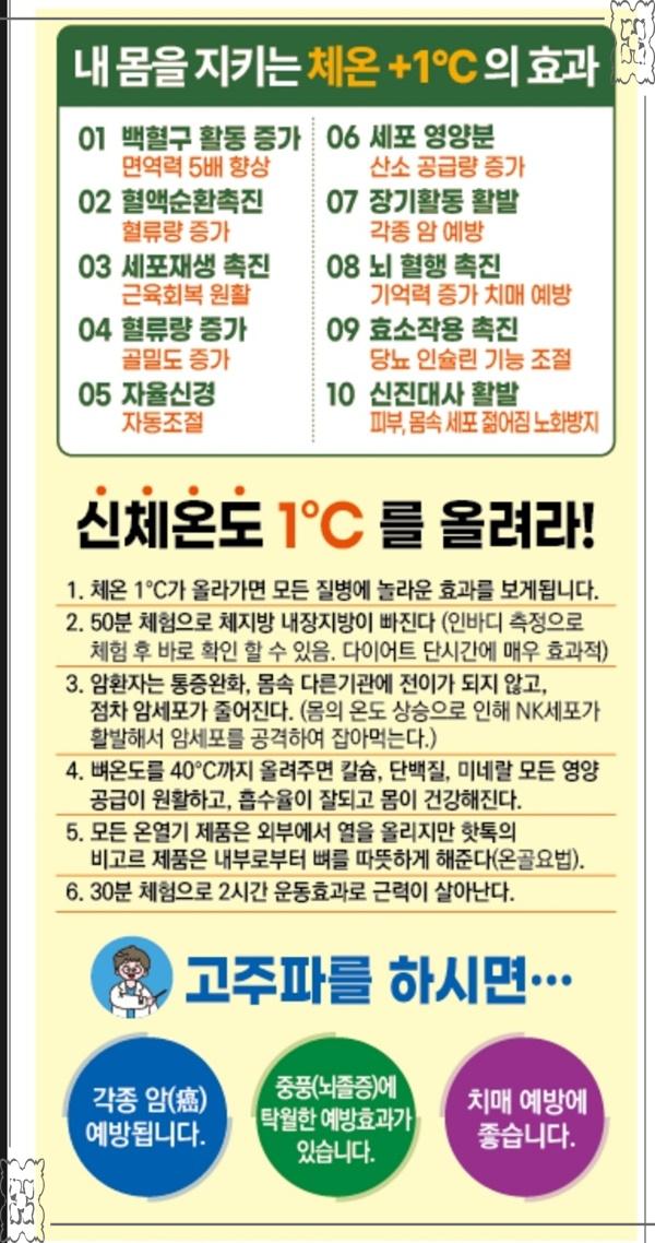 비고르바른건강 이미지