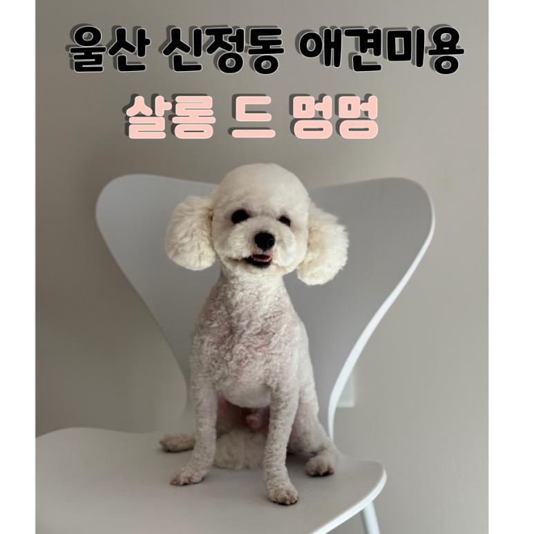 혀니살롱 이미지