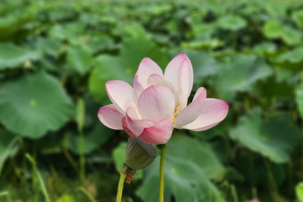 취석루 이미지
