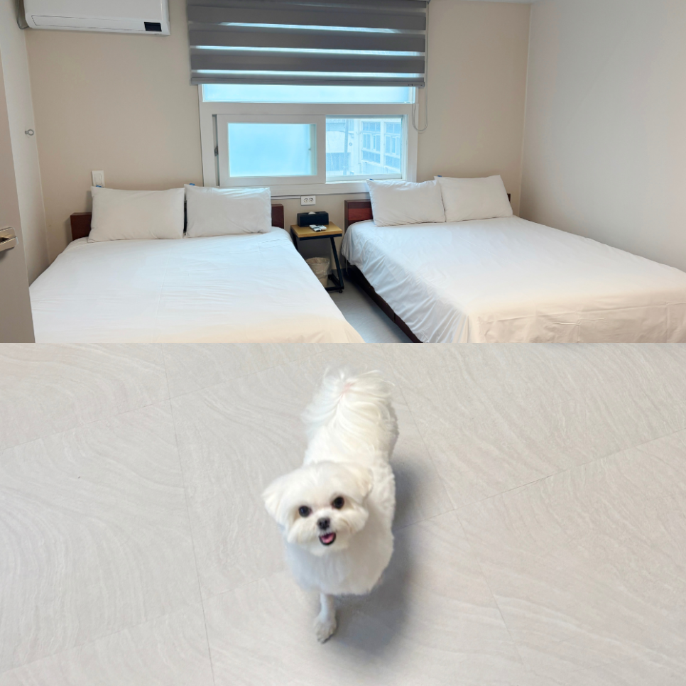 뜨레비호텔 이미지