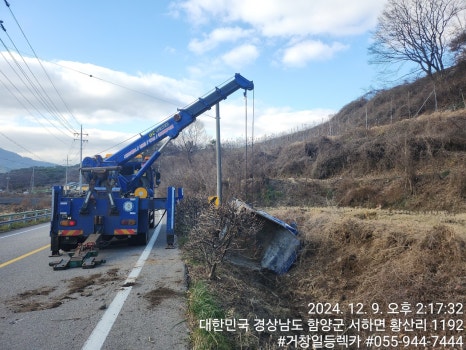 합천추레라 이미지