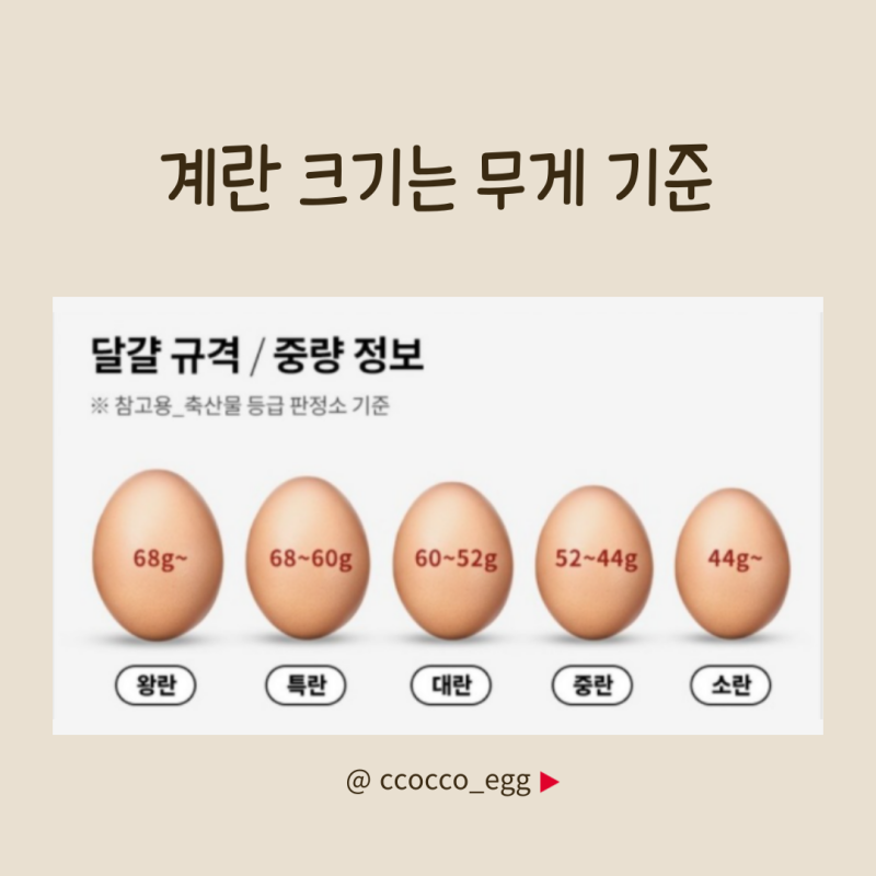 배방농협하나로마트 연화점 이미지