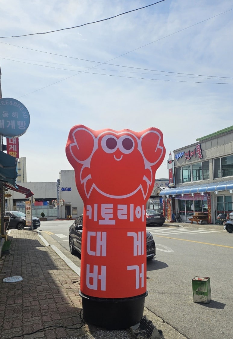 키토리아 이미지