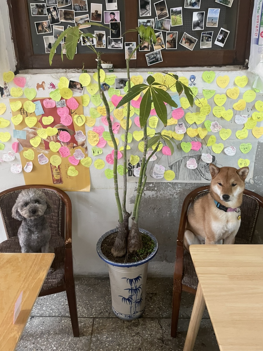 숙명로또 이미지