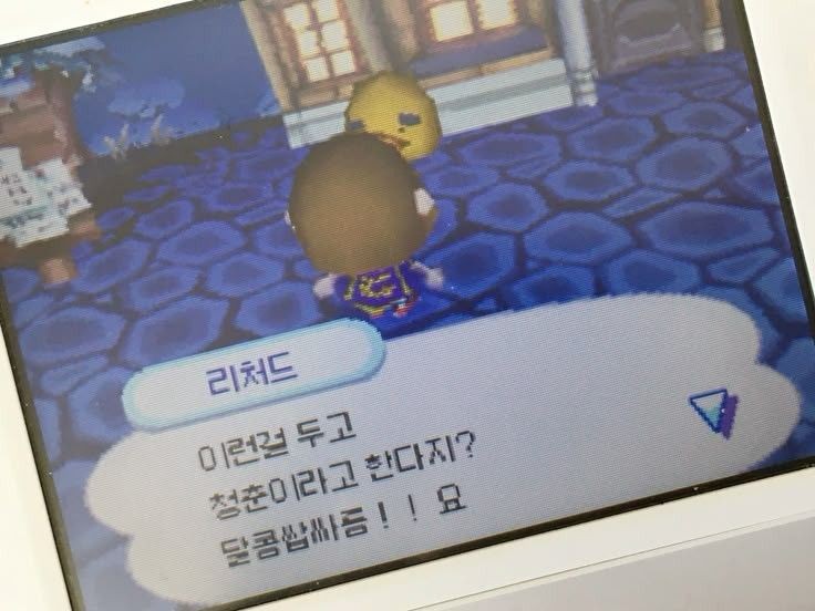 새벽제주혼술바 이미지
